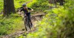 Marin Rift Zone XR AXS 29 Alumin. Magenta Purple, Size XL - Image 6